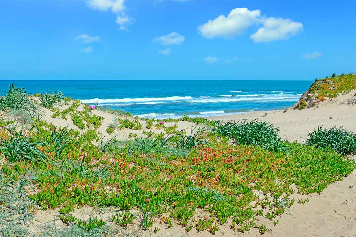 Sorso: tra tradizioni e natura