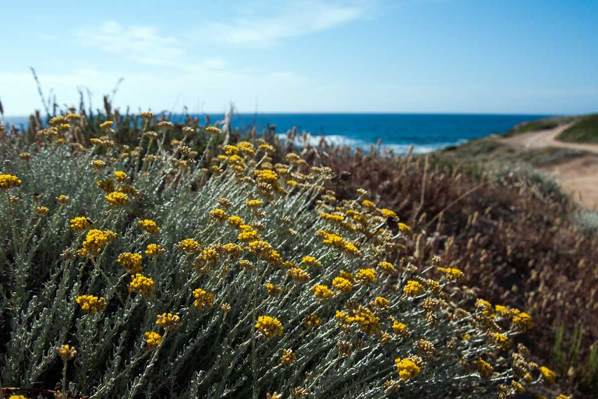 Dintorni - Nord Sardegna